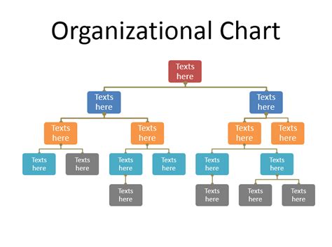 free editable organogram template word.